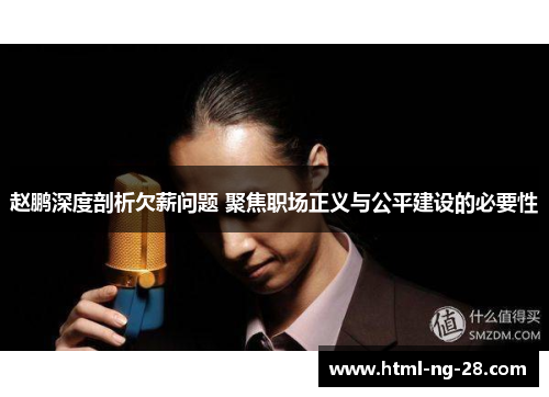 赵鹏深度剖析欠薪问题 聚焦职场正义与公平建设的必要性